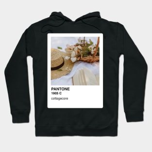 Pantone Cottagecore Aesthetic Sticker and Phone Case Hoodie